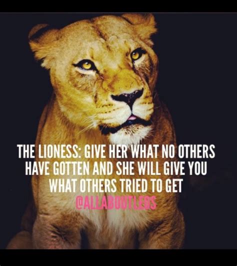 lioness quotes|Top Lioness Quotes of All Time